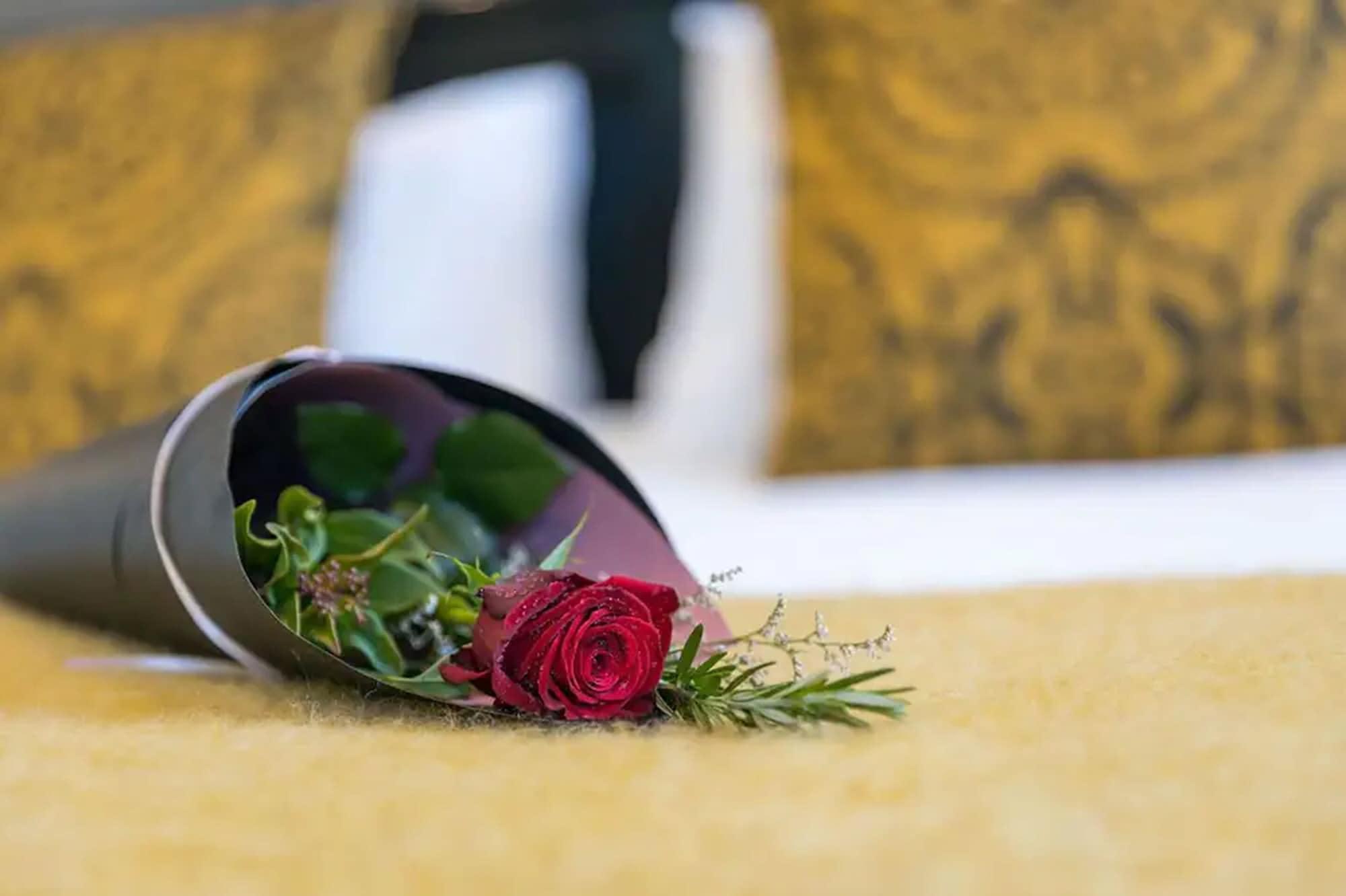 Palazzo Motor Lodge Nelson Ngoại thất bức ảnh A rose in a vase